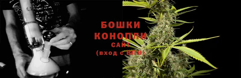 Бошки Шишки сатива  мега как войти  Бикин 